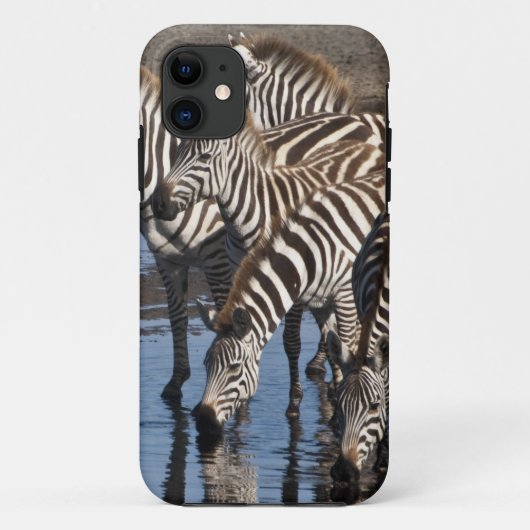 Coques Case-Mate iPhone Afrique. Tanzanie. Zèbres buvant à Ndutu (Dos)