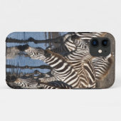 Coques Case-Mate iPhone Afrique. Tanzanie. Zèbres buvant à Ndutu (Dos (Horizontal))