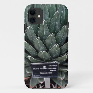 Coques Pour iPhone Agave Victoria Photo iPhone SE + iPhone 5/5S