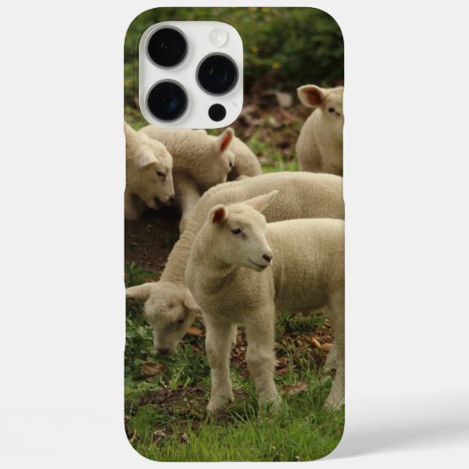 Coques Case-Mate iPhone Agneau (Verso)