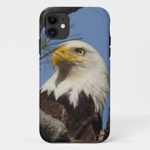 Case-Mate iPhone Case Aigle à chaudes matures