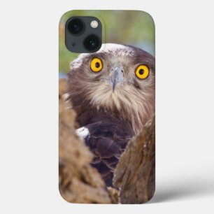 Case-Mate iPhone Case Aigle à serpent à poitrine blanche