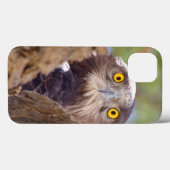 Coques Case-Mate iPhone Aigle à serpent à poitrine blanche (Verso (horizontal))