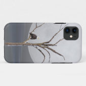 Coques Case-Mate iPhone Aigle à tête blanche dans l'arbre (Dos (Horizontal))