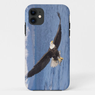 Case-Mate iPhone Case aigle à tête blanche, Haliaeetus leucocephalus, en