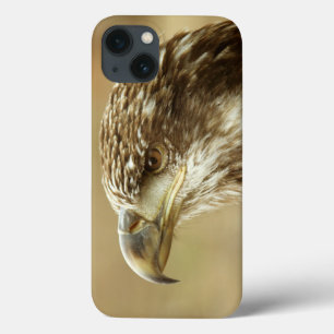 Etui iPhone Case-Mate Aigle à tête blanche immature
