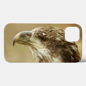 Coques Case-Mate iPhone Aigle à tête blanche immature (Verso (horizontal))