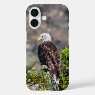 Coques iPhone 16 Aigle bald assis sur le rocher