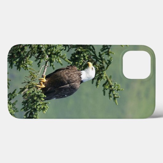 Coques Case-Mate iPhone Aigle de Bald (Verso (horizontal))