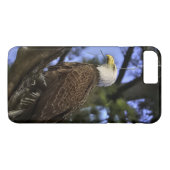 Coques Case-Mate iPhone Aigle maturé (Dos (Horizontal))