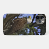 Coques Case-Mate iPhone Aigle maturé (Dos (Horizontal))