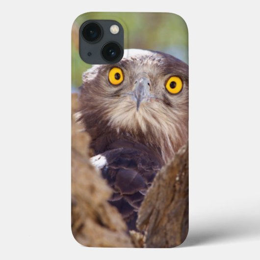 Coques Case-Mate iPhone Aigle serpentaire à poitrine blanche (Verso)