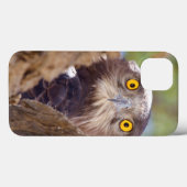 Coques Case-Mate iPhone Aigle serpentaire à poitrine blanche (Verso (horizontal))