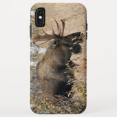 Coques Case-Mate iPhone Aiguille (Dos)