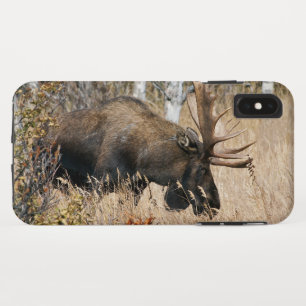 Case-Mate iPhone Case Aiguille