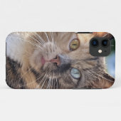 Coques Case-Mate iPhone Ajouter une Personnaliser photo de chat (Dos (Horizontal))