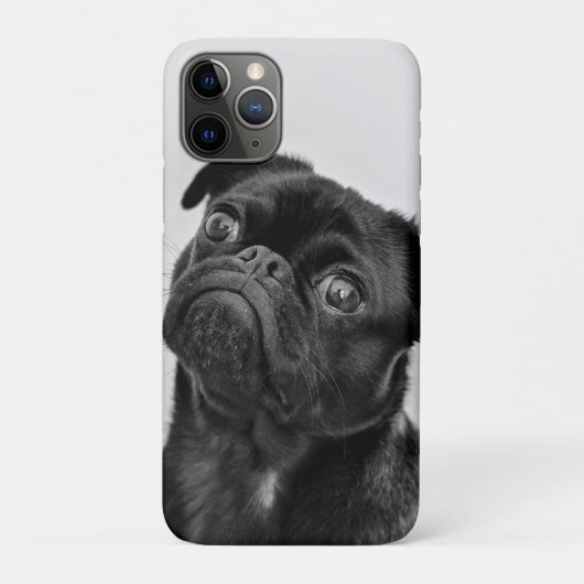 Coques Case-Mate iPhone Ajouter votre propre voyage photo chien | carlin d (Dos)