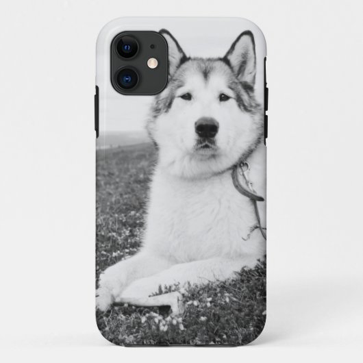 Coques Case-Mate iPhone alaskan-malamute bw.png (Dos)