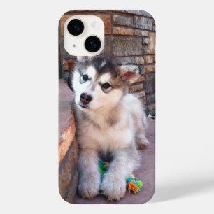 Coques Pour iPhone Alaskan Malamute Puppy Head Tilt Photograph