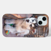 Coques Case-Mate iPhone Alaskan Malamute Puppy Head Tilt Photographie (Verso (horizontal))