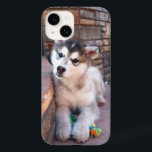 Coques Pour iPhone Alaskan Malamute Puppy Head Tilt Photographie<br><div class="desc">Cette mallette téléphonique est ornée d'une mignonne photo de près d'un chiot malamué de l'Alaska avec une corde jaune et verte et un jouet à mâcher.</div>