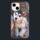 Coques Pour iPhone Alaskan Malamute Puppy Head Tilt Photographie<br><div class="desc">Cette mallette téléphonique est ornée d'une mignonne photo de près d'un chiot malamué de l'Alaska avec une corde jaune et verte et un jouet à mâcher.</div>