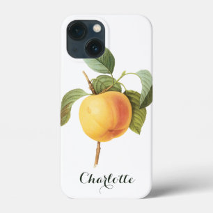 iPhone 13 Mini Coque Aliments de fruits vintage, pomme Calville par Red