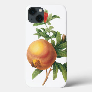 Etui iPhone 13 Aliments Vintage Fruit, Grenade par Redoute