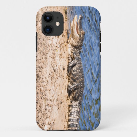 Coques Case-Mate iPhone Alligator bébé soleil (Dos)