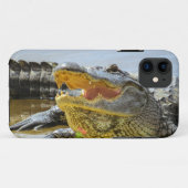 Coques Case-Mate iPhone Alligator. Face à face (Dos (Horizontal))