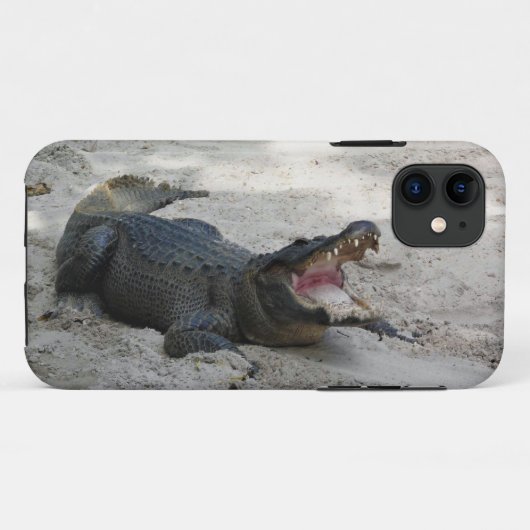 Coques Case-Mate iPhone Alligator, Fort Lauderdale, Floride (Dos (Horizontal))