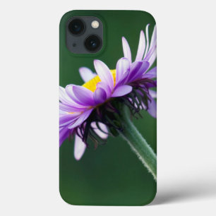 Coques Pour iPhone Alpine Daisy