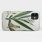 Coques Case-Mate iPhone Alpinia officinarum (Dos (Horizontal))