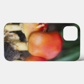 Coques Case-Mate iPhone Amanita family mushrom (Verso (horizontal))