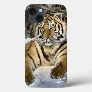 iPhone 13 Case Amants de tigre