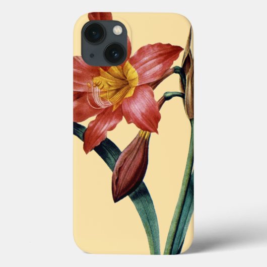 Coques Case-Mate iPhone Amaryllis (Verso)