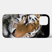 Coques Case-Mate iPhone Amateurs de tigres (Verso (horizontal))