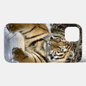 Coques Case-Mate iPhone Amateurs de tigres (Verso (horizontal))