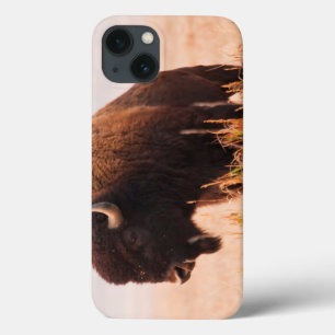 Case-Mate iPhone Case American Bison (Bison Bison) Herd In Teton 2