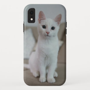 Case-Mate iPhone Case American white shorthair