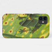 Coques Case-Mate iPhone AMÉRIQUE CENTRALE, Costa Rica, Grenouille rétroécl (Dos (Horizontal))