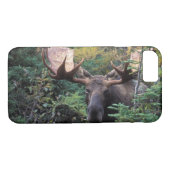 Coques Case-Mate iPhone Amérique du Nord, Canada, Nouvelle-Écosse, Cap-Bre (Dos (Horizontal))