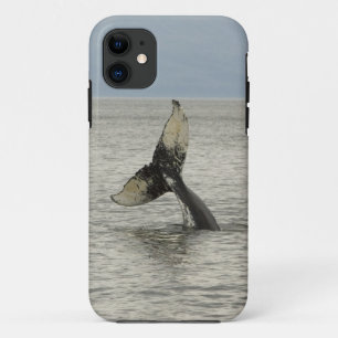 Case-Mate iPhone Case Amérique du Nord, États-Unis, AK, Passage Intérieu
