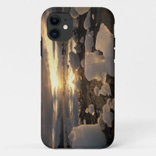 Coques Pour iPhone Amérique du Nord, États-Unis, Alaska, Ice Bay, pay