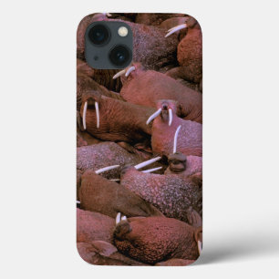 Etui iPhone 13 Amérique du Nord, États-Unis, Alaska, Yukon Delta