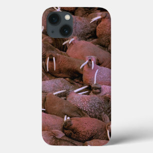 Case-Mate iPhone Case Amérique du Nord, États-Unis, Alaska, Yukon Delta
