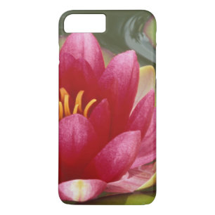 Coque Case-Mate Pour iPhone Amérique du Nord, États-Unis, WA, Seattle, Woodl