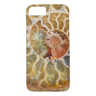 Case-Mate iPhone Case Ammonite