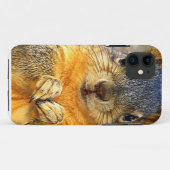 Coques Case-Mate iPhone Amour des écureuils_ (Dos (Horizontal))