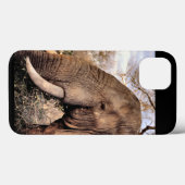 Coques Case-Mate iPhone Amoureux des éléphants (Verso (horizontal))